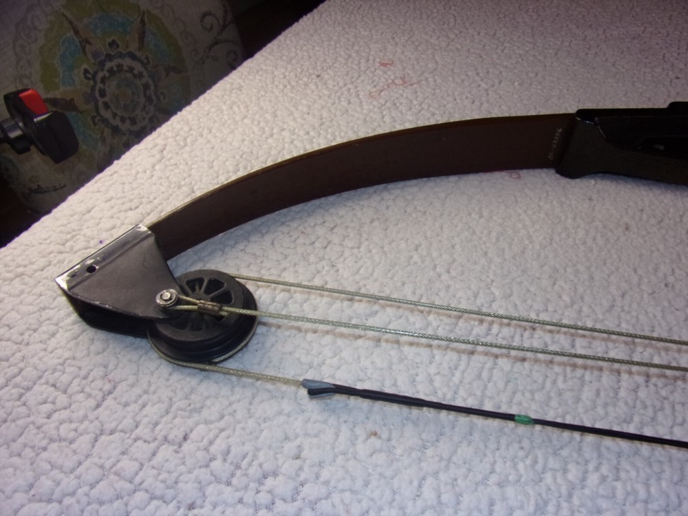 Bear Blacktail Hunter Compound