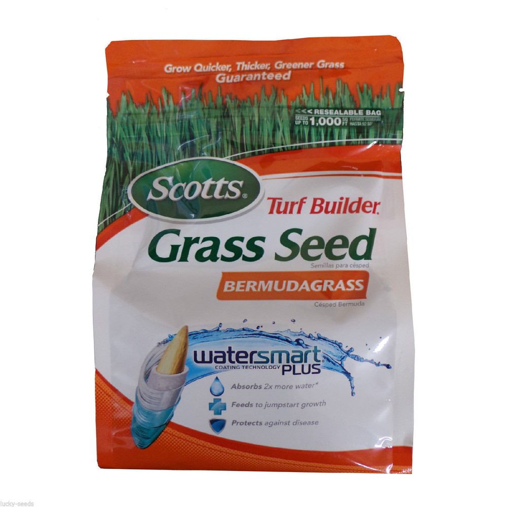 Scotts Turf Builder Bermuda Grass Seed  1 Lbs Coverage 1000 sq ft