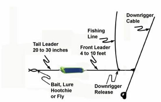 PRO-TROLL ProChip 8" #635 Plain Green - New