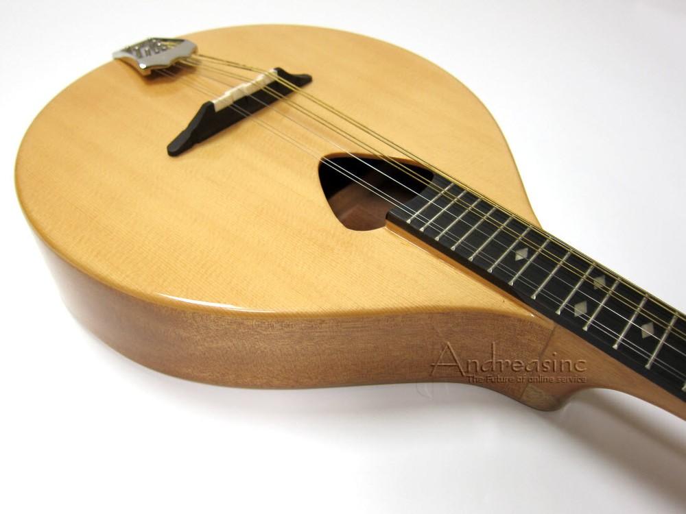 GOLD TONE 8-STRING SOLID SPRUCE MANDOLA w/ BAG ~ VIOLA MANDOLIN LUTE