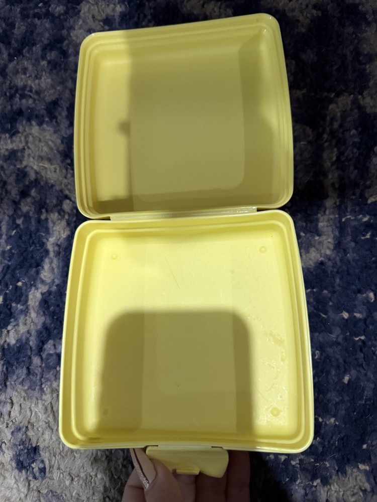 Tupperware Square SANDWICH KEEPER~SpongeBob~Eco friendly~One-Piece Hinged Design