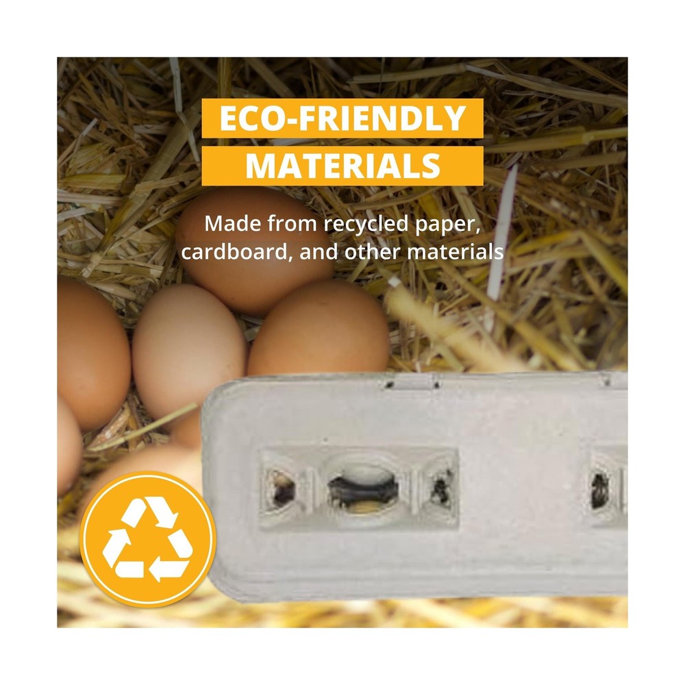 Stromberg's Large Blank Egg Cartons, Bulk Pack for Large Eggs, Perfect for Cu...