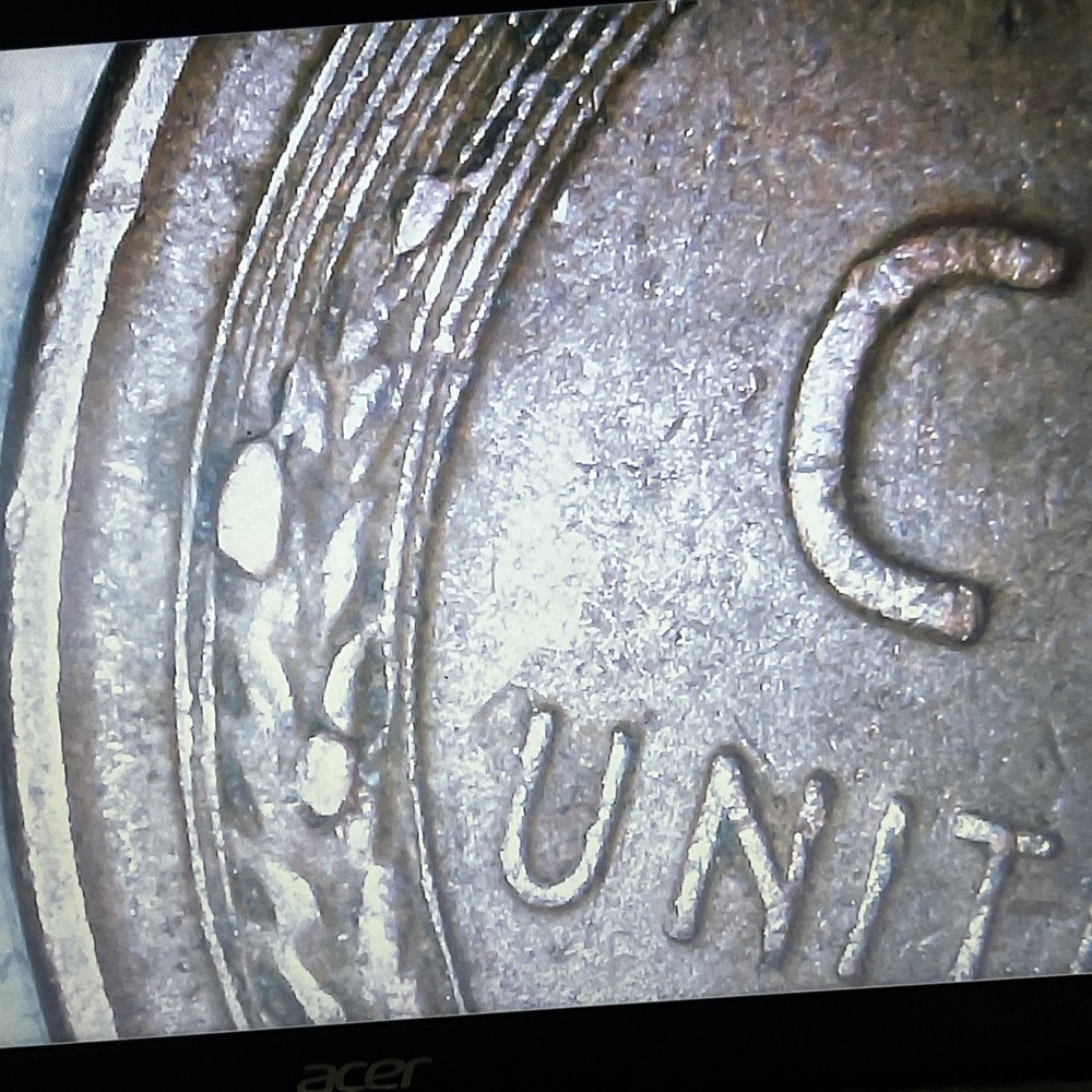 1955 P Lincoln Wheat Cent With Die Chips On Wheat Ears