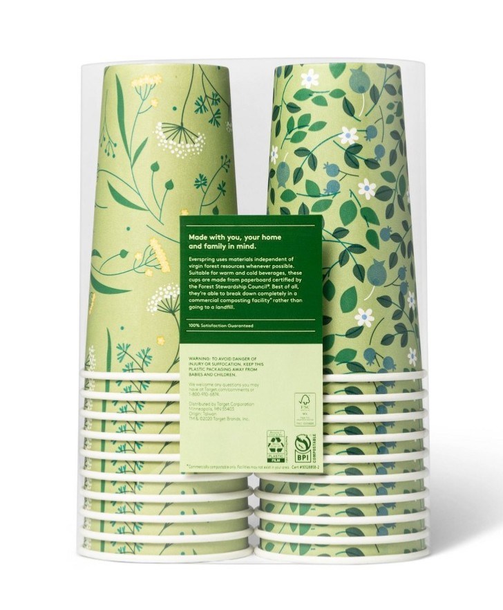 Disposable Cold Cups - 20ct/20oz - Everspring