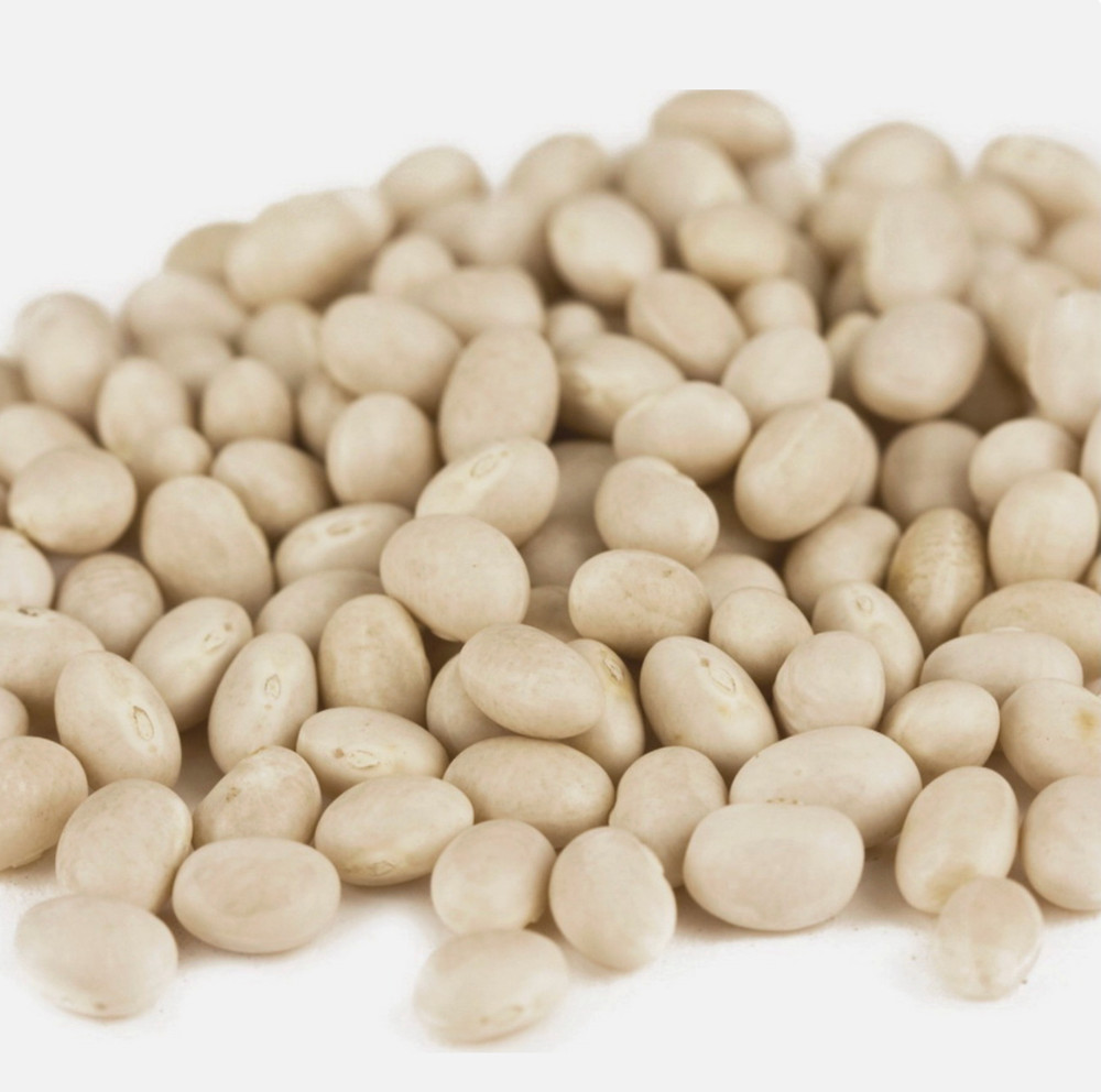 *BULK* Navy Beans Non-GMO, Raw, Sproutable, 2lb Intervals
