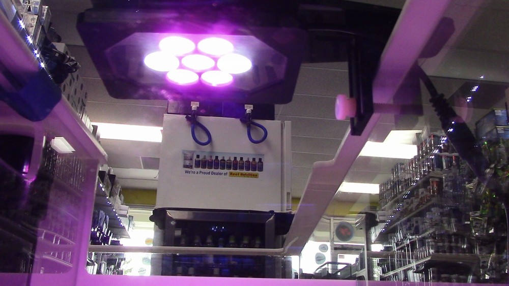 Refugium light CHAETO C7s Refug LED Light Black