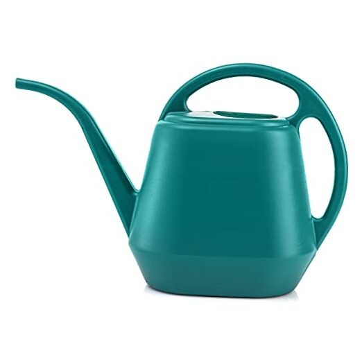 Plastic Watering Can, 1-Gallon, Green