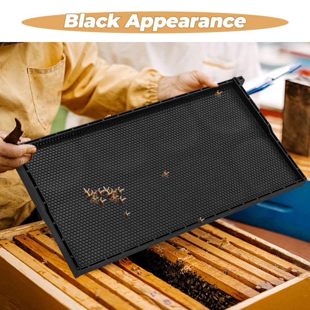 Beehive Frame with Black ABS Plastic and Wax Foundation for Beekeeping Use