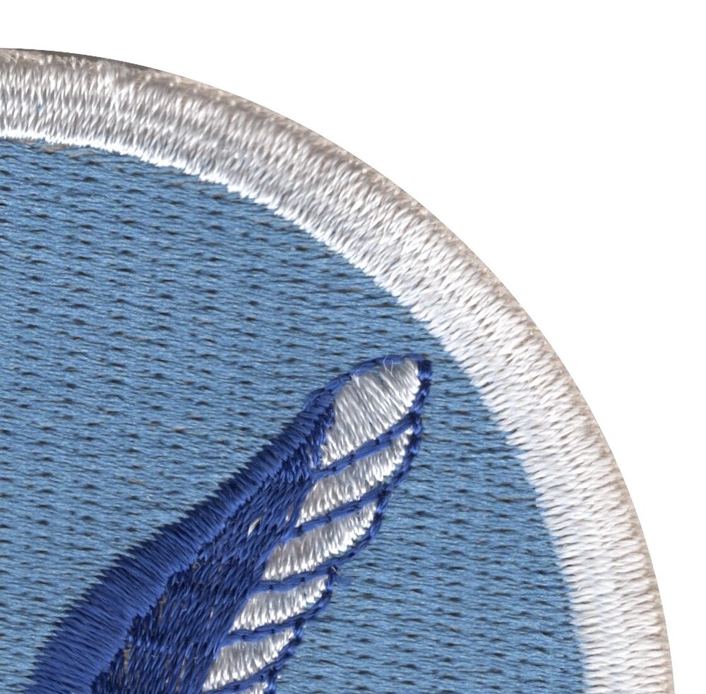 188th Airborne Infantry Regiment Patch - Version B