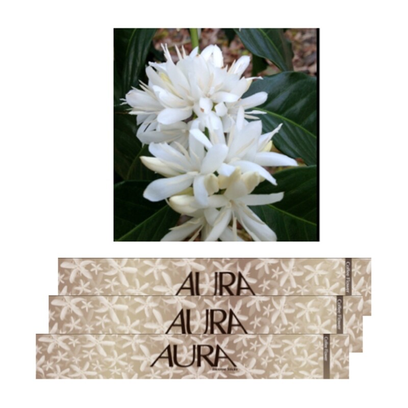 Aura Incense Sticks ? Coffee Flower Pack