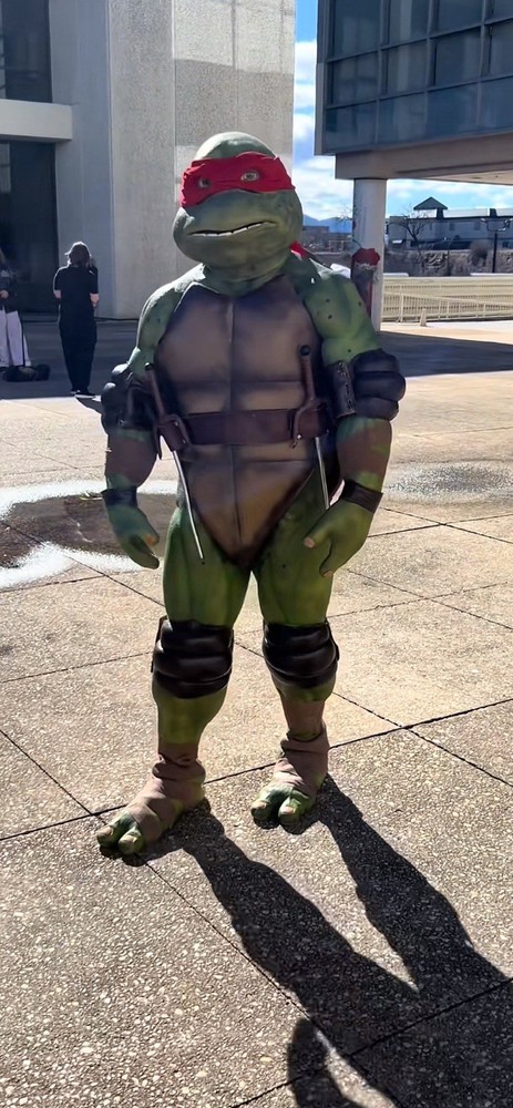 Ninja Turtle Raphael Costume