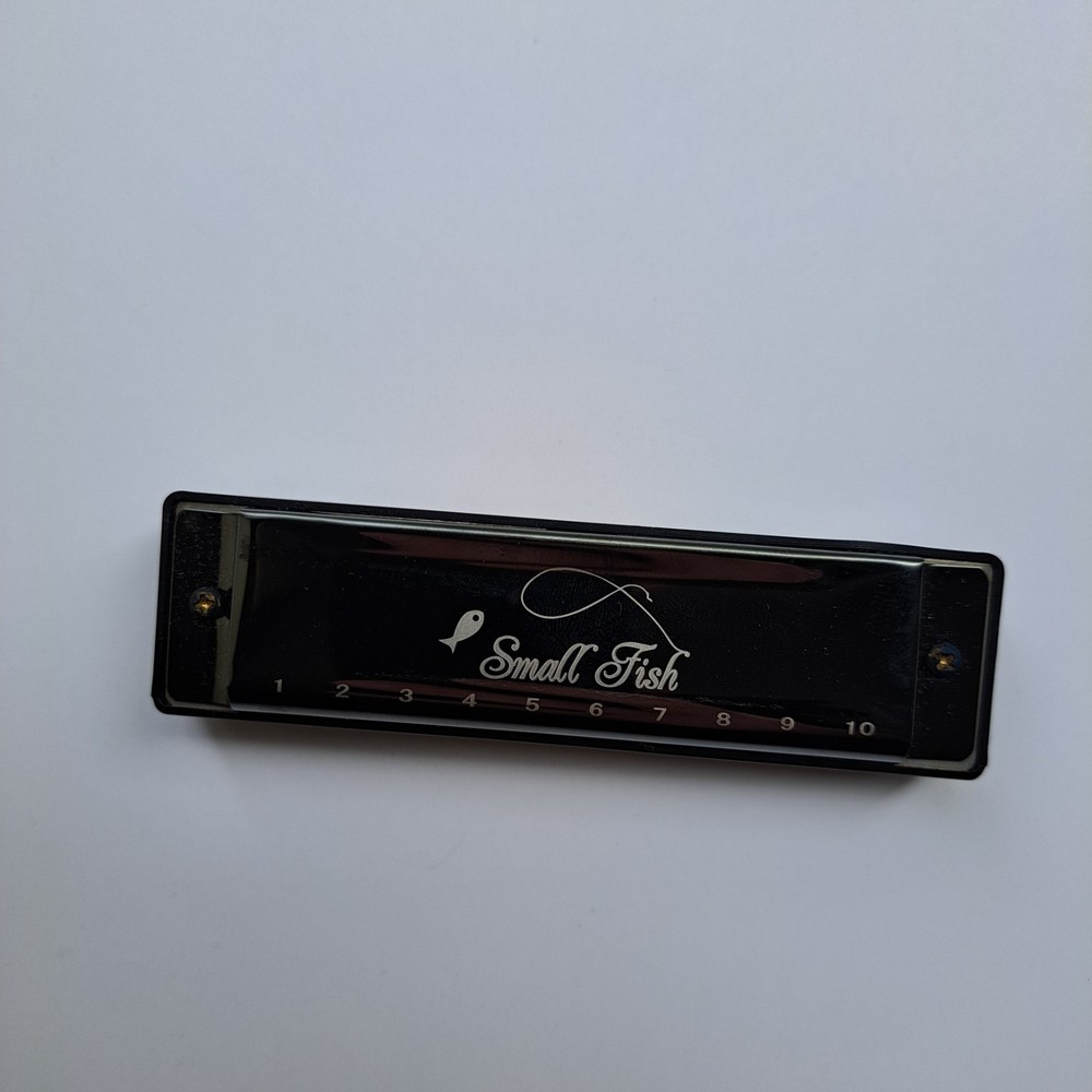 Small Fish 10‑Hole Diatonic Harmonica – Beginner Model w/ Box