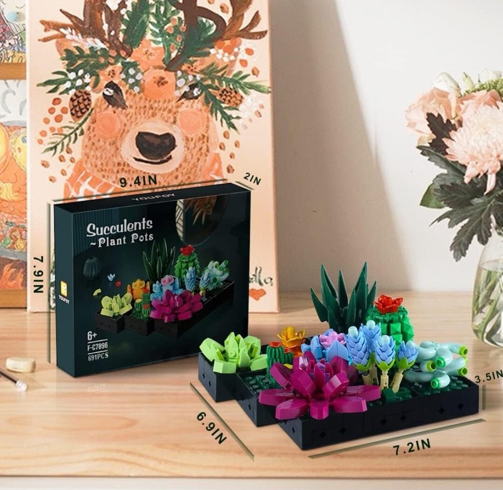 Succulent Bonsai Building Kit,