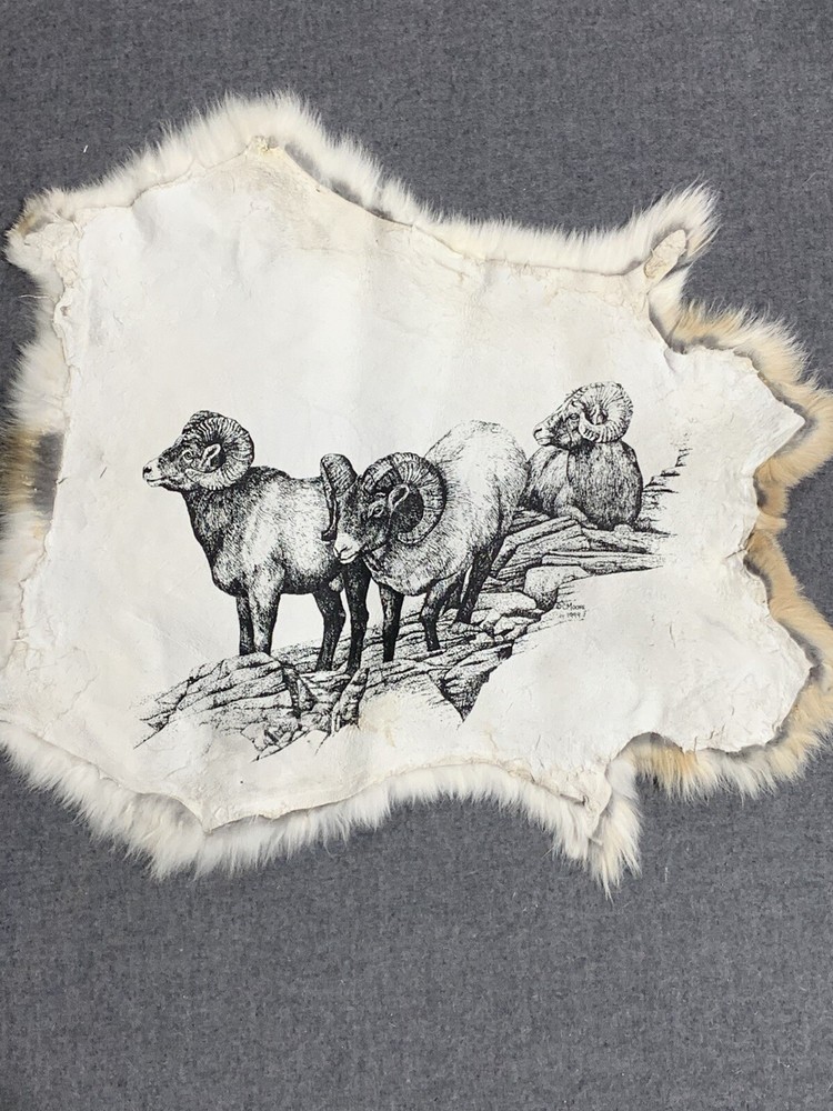Printed Rabbit Pelt: Big Horn Sheep
