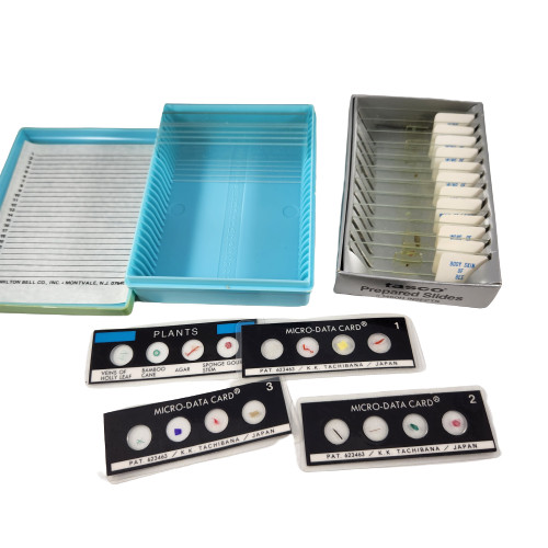 Vintage Micro-Data Specimen Cards for Microscopes & Glass Slides