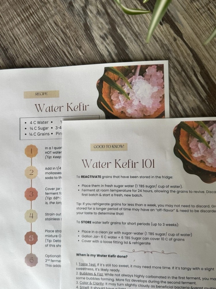 Organic Water Kefir Grains Starter Kit - Live W/ Home Fermentation Instructions