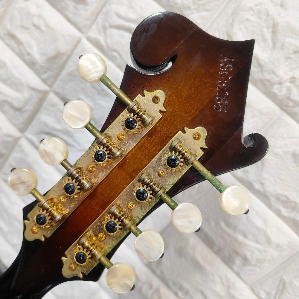 Fuji String Instruments BLUE BELL F-10 Made in 1980