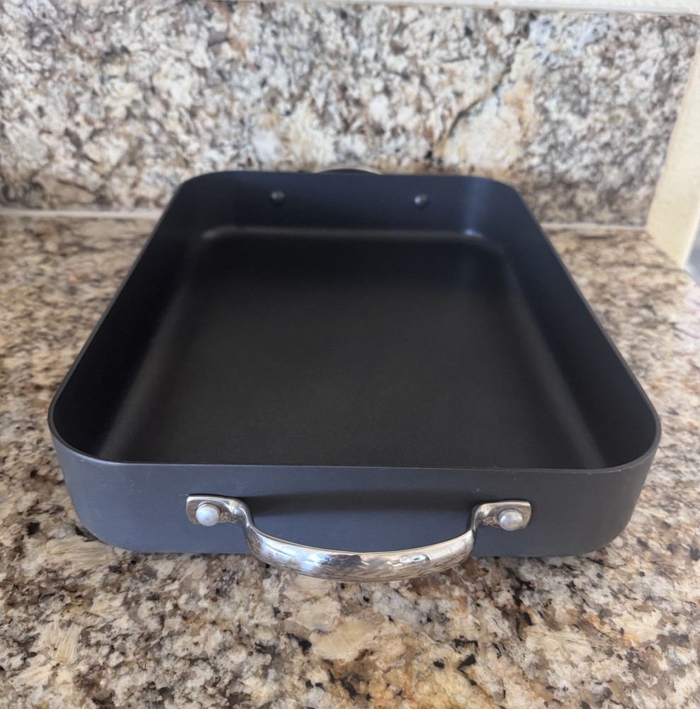 Thomas Black Rectangle Metal Roasting Tray with Handles, Dishwasher Safe