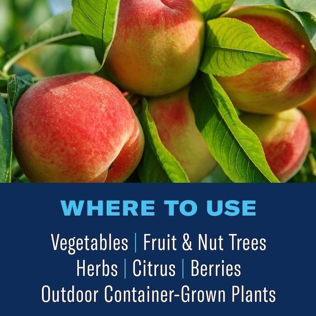 BIOADVANCED ORGANICS - TOMATO - VEGETABLE - FRUIT - INSECT CONTROL - KILLS FAST