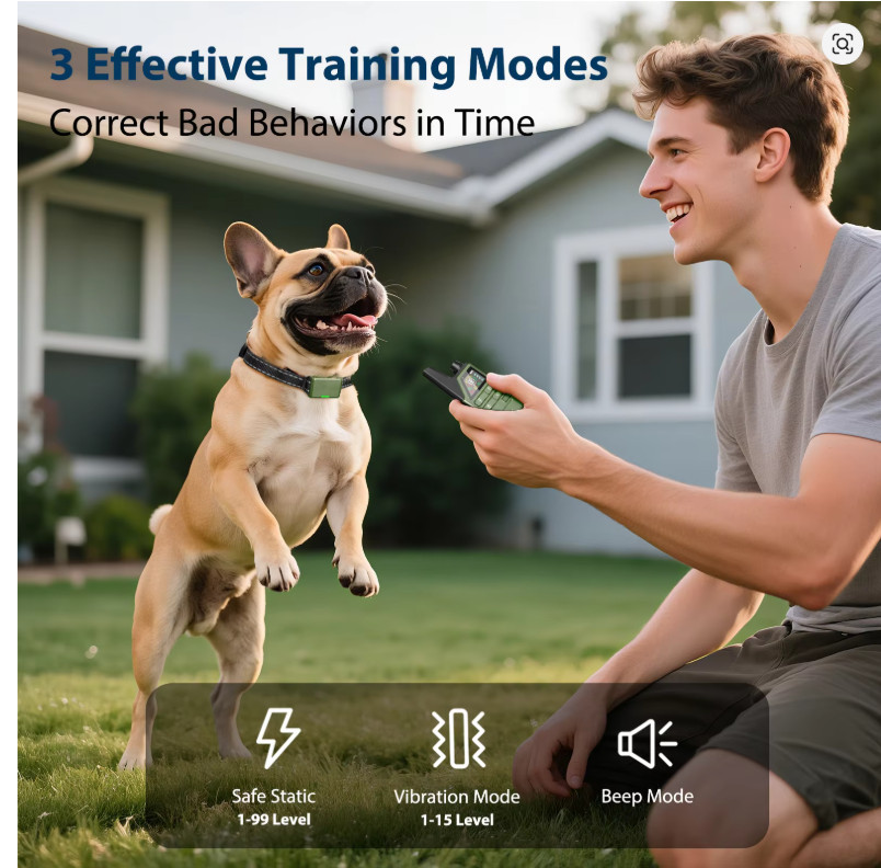 Rechargeable Dog Training Collar with Remote – Multi-Dog Control System