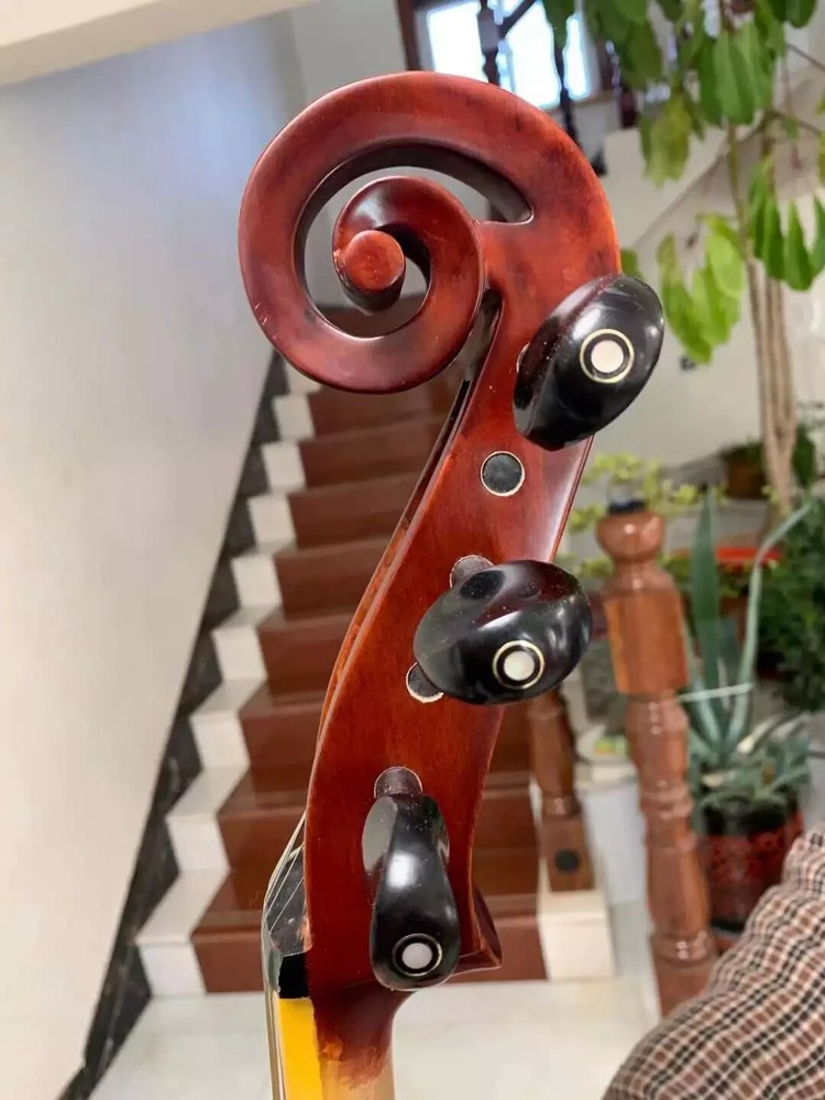 profession SONG maestro 6 string 27" viola da gamba,Bird's eye maple back