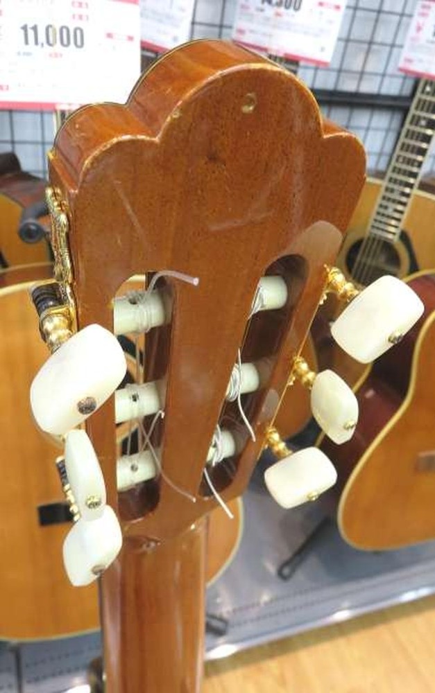 ASTURIAS STANDARD Classical Guitar