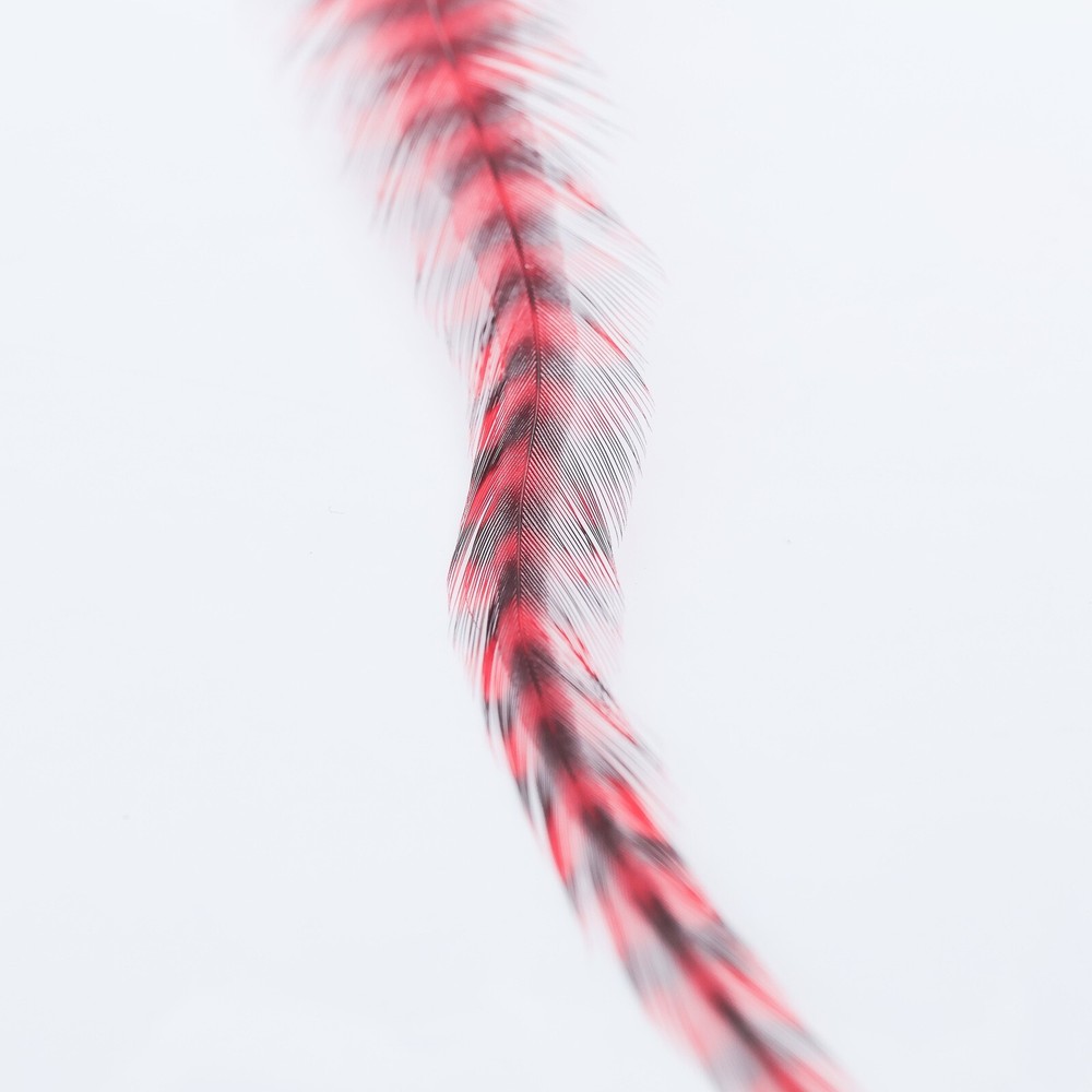 Metz Hackle Deceiver Pack - Grizzly/Red