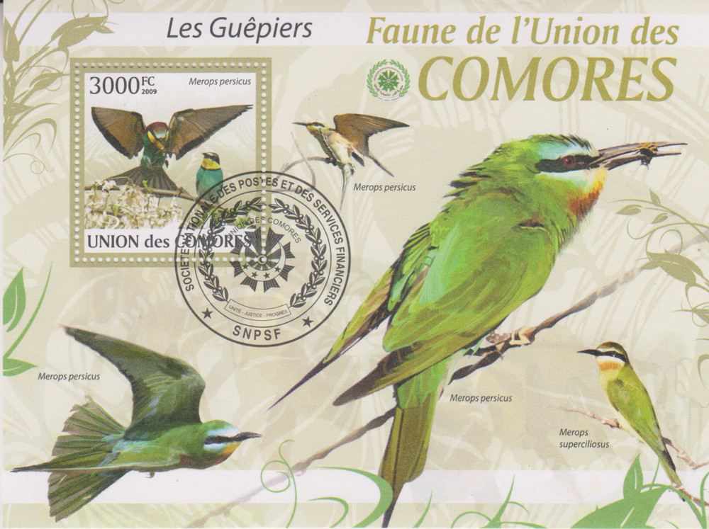 Birds Comoros Stamped 4077