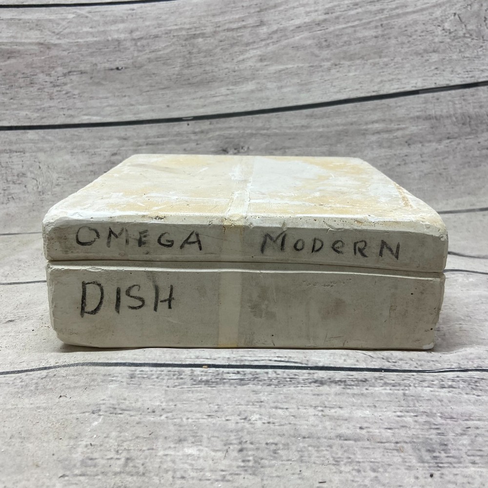 Unbranded Ceramic Casting Mold Omega Modern Dish