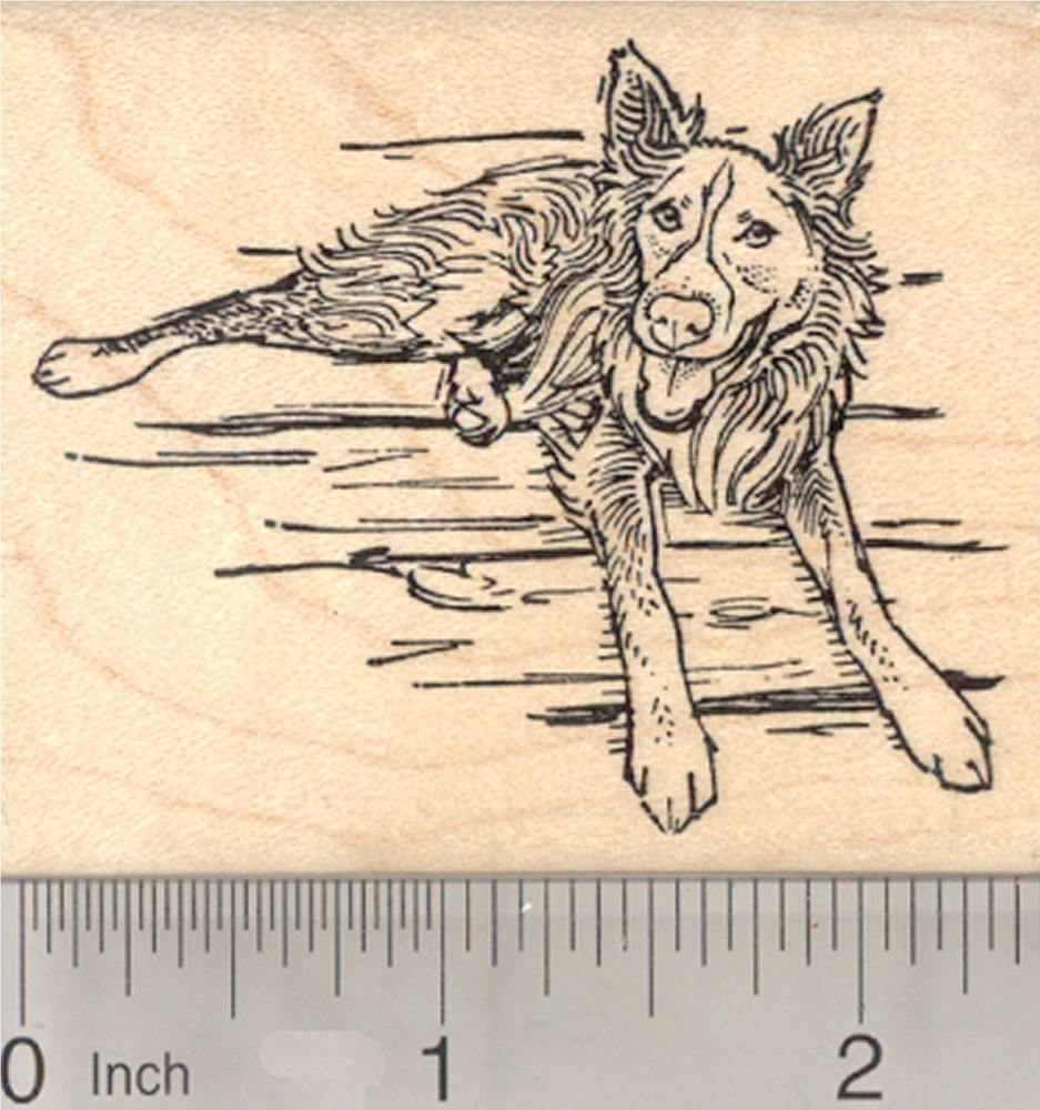 Cattle Dog Rubber Stamp  J27403 WM