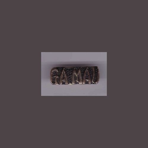 GA MAU  + a custom promo pin