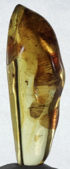 LEAF & FRUIT FLIES in Mexican Amber specimen 5g