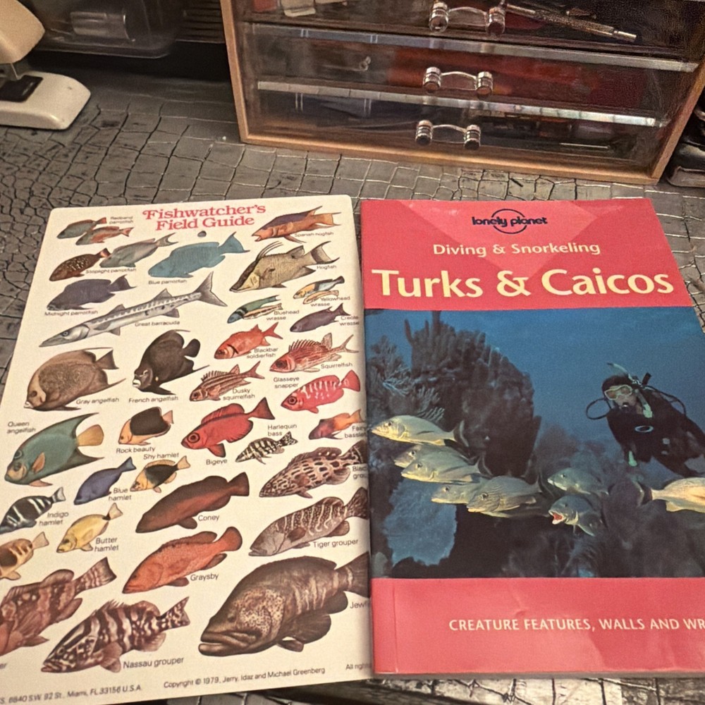 Sealife DC500 With Strobes No Camera