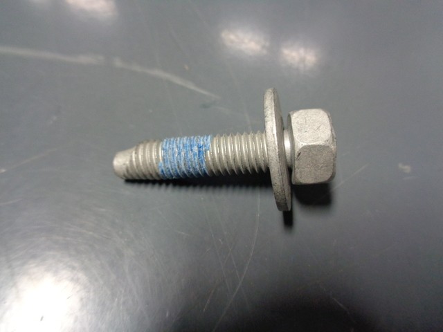 Genuine Rear Plate Bolt W709390-S439