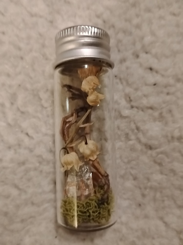Jar With Bird Claws