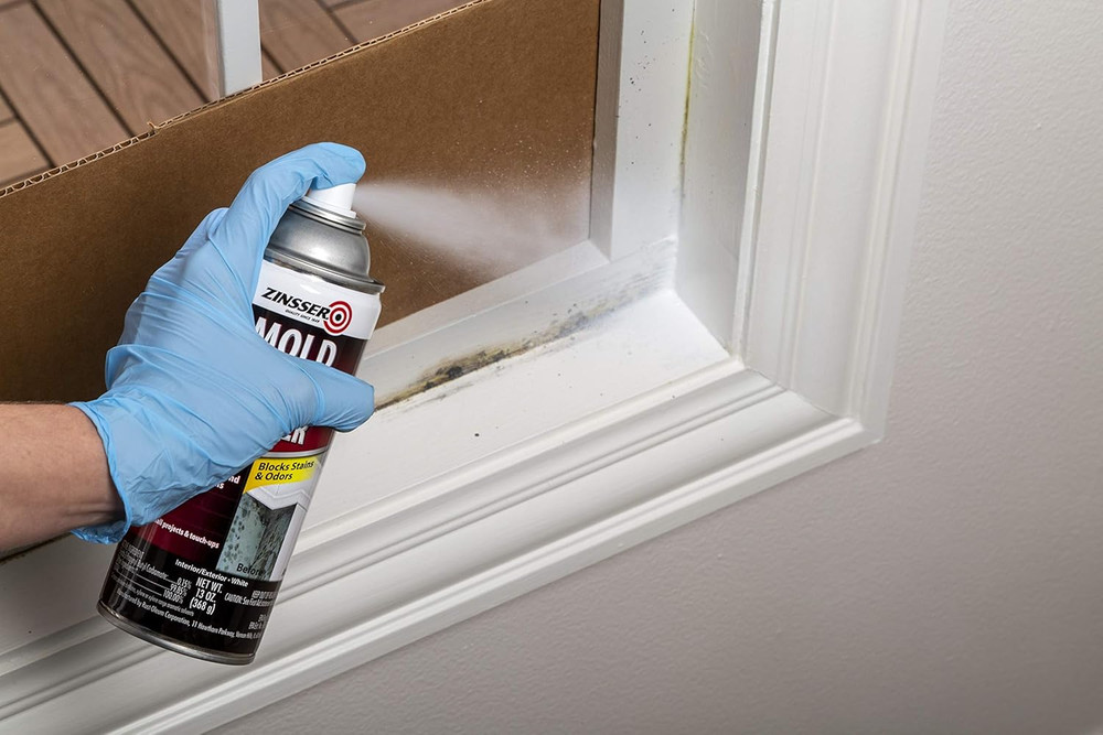 Mold Blocking Spray Primer - 6 Pack, White, 13 Fl Oz Each