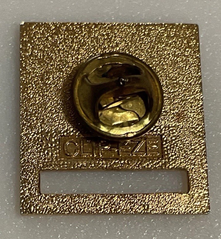 LPN Licensed Practical Nurse Pin