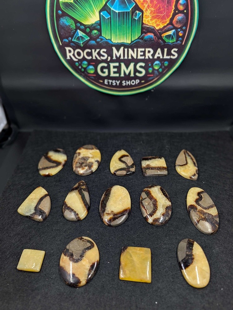 Septarian - Cabochon – Utah – 1 pc