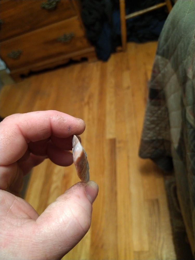 Snyder Flint Ridge Nice point 3"x1.5"