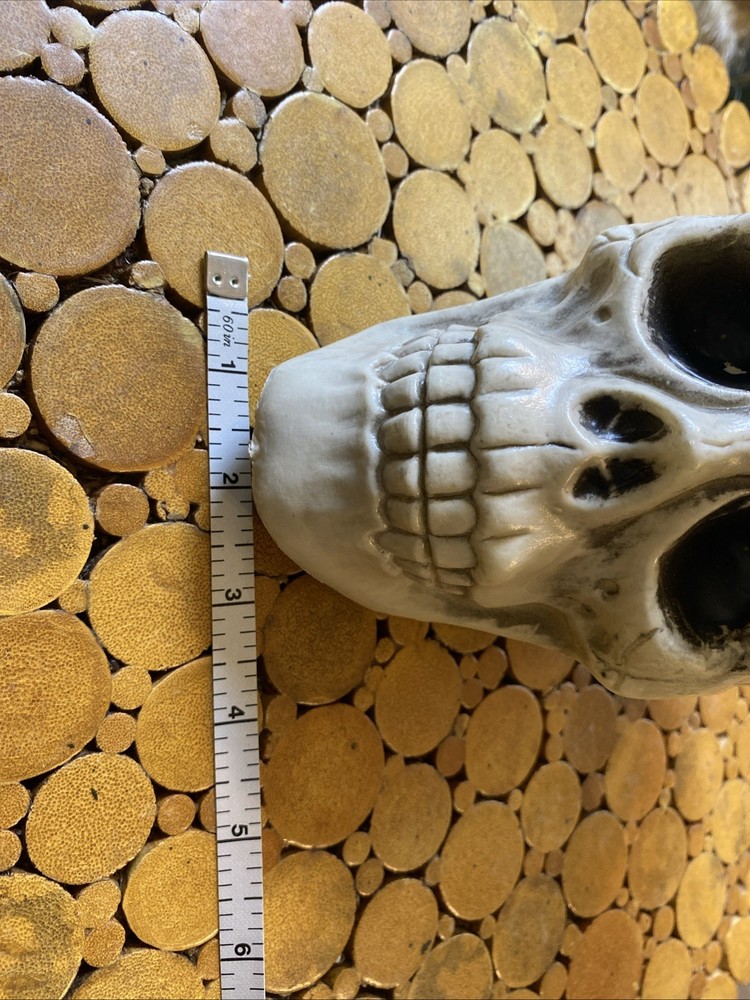 Halloween Skeleton Skull - Prop - Decor