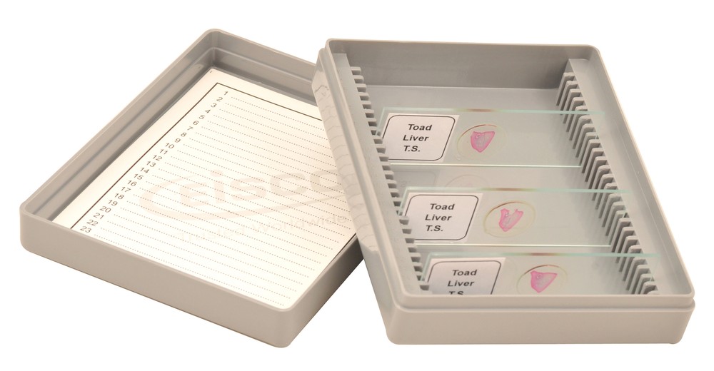 Eisco Labs Slide Box, Polystyrene, 25 Slides