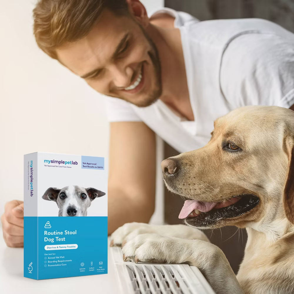 MySimplePetLab Dog Routine Stool Test Kit