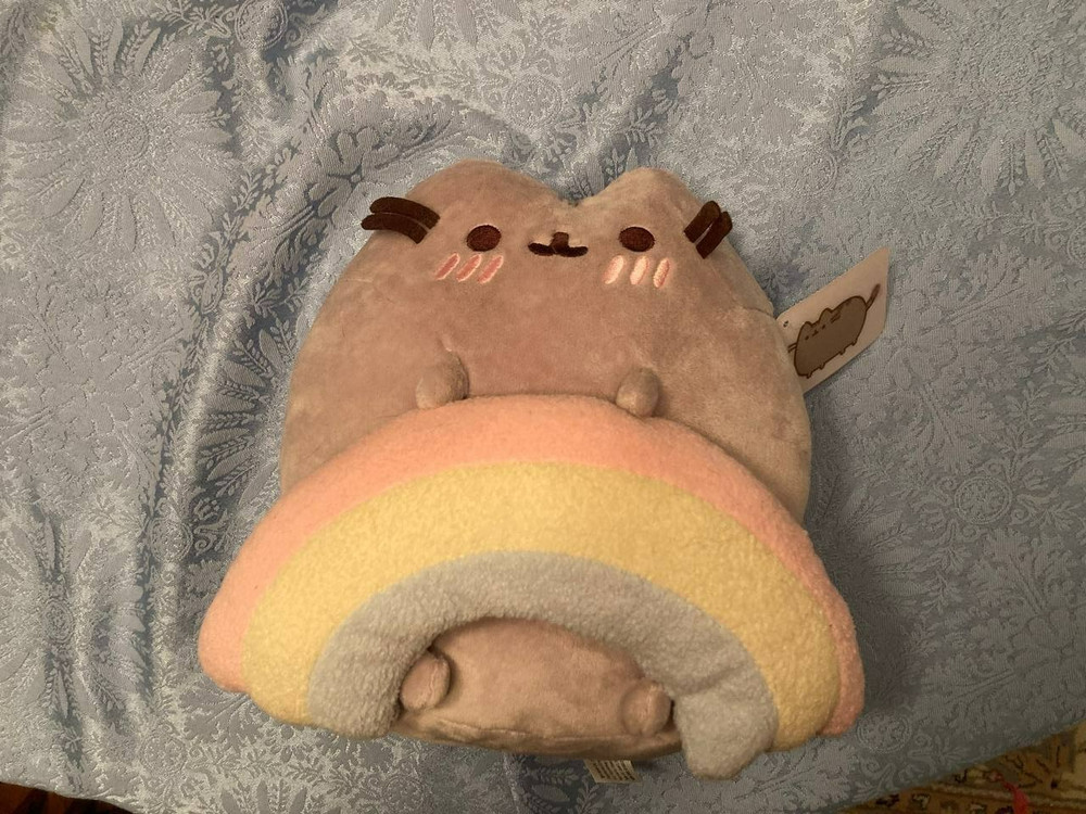 Pusheen Holding Rainbow Plush NWT