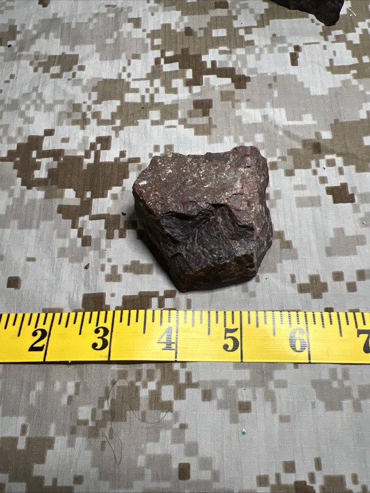 Fossil T-Rex Bone Fragment