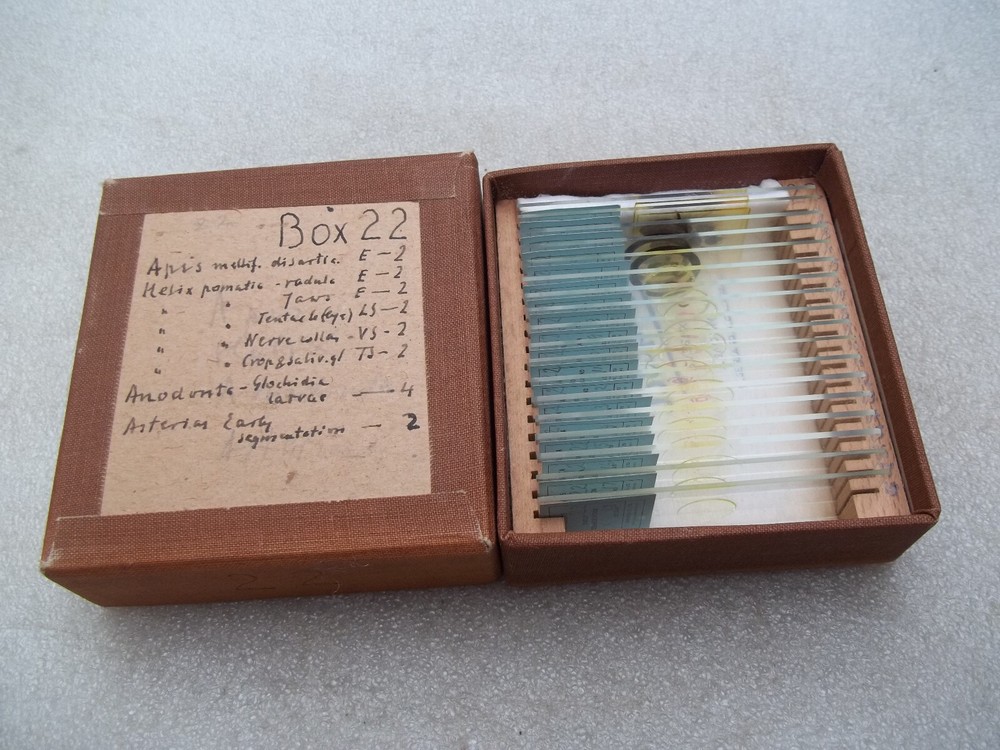 Vintage Glass Microscope Slides -