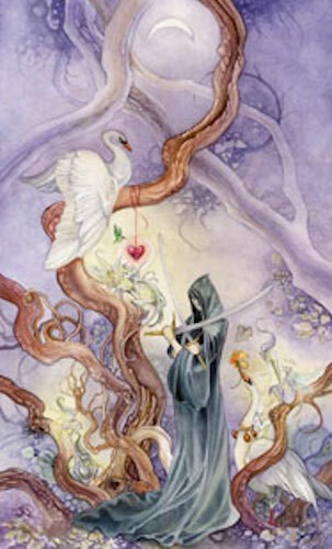 Shadowscapes Tarot Card Deck!