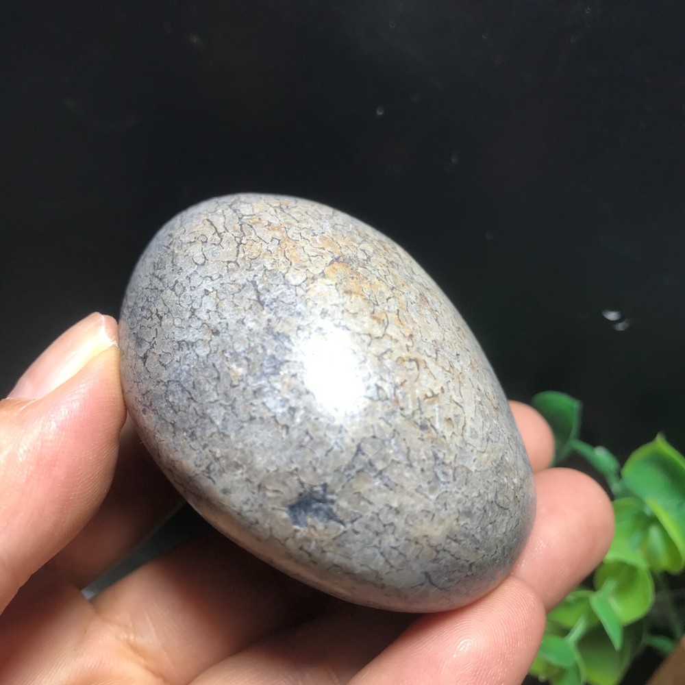 148g polished dinosaur bone specimen Madagascar 10
