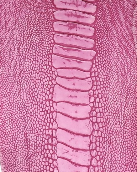 Ostrich Legs Skin Leather, Cyclamen Stonewashed