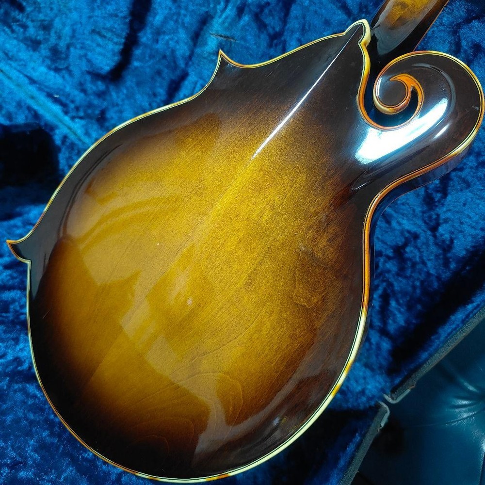 Fuji String Instruments BLUE BELL F-10 Made in 1980