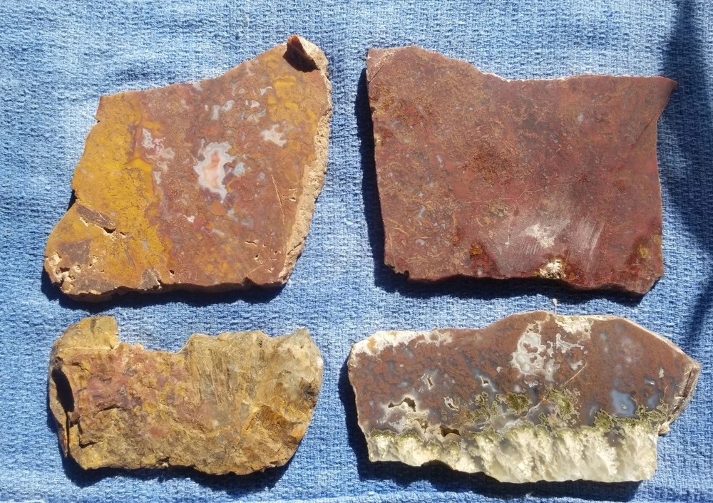 Great Multicolor Moss Plume Agate 4 Slab Lot 271g Various Specimens Translucent